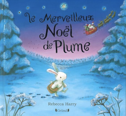 Livre le merveilleux noel de plume