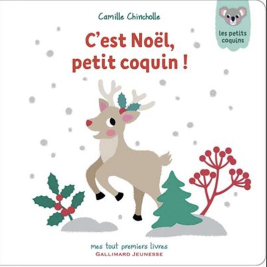 Livre - C''est Noël, petit coquin